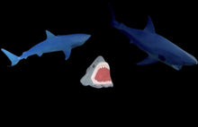 Load image into Gallery viewer, Jaws Shark Phone Grip